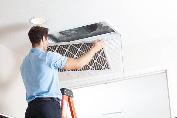 Best HVAC Repair Near Me  in Chelsea, MI